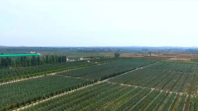 山东省栖霞市现代农业产业园