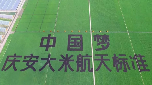 黑龙江省庆安县现代农业产业园