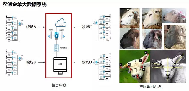 农创金羊大数据系统