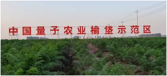 中国量子农业榆垡示范区